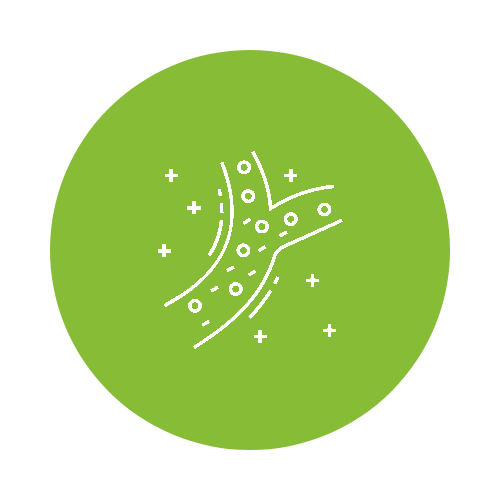 Peripheral artery screening